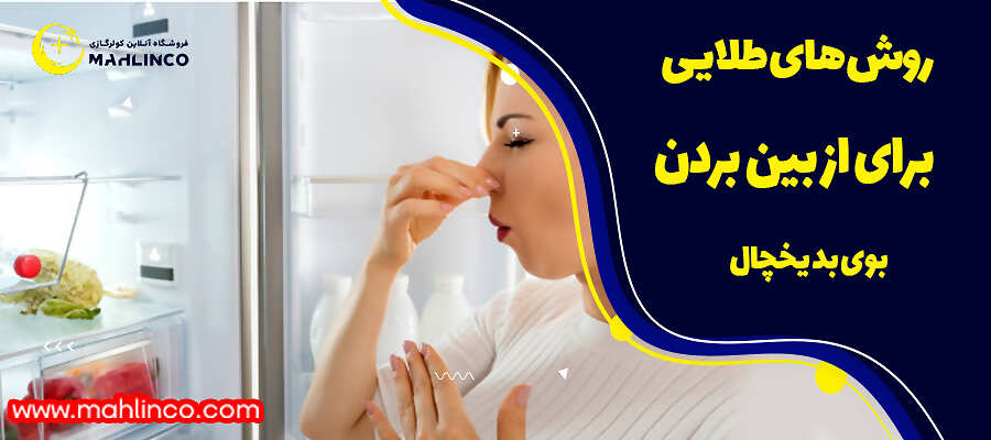 روشهای طلایی برای از بین بردن بوی بد یخچال